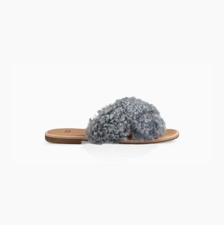 UGG Joni Grey Slides for Women (KSBI42809)